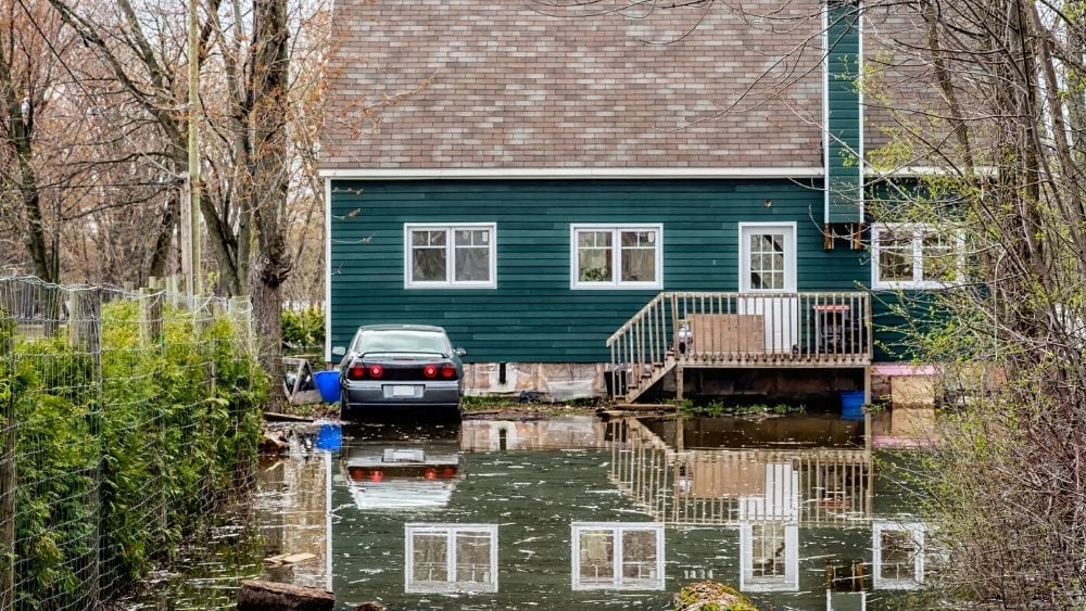 Flood Insurance: Government and Private Options - EverQuote