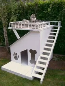 Dog House with Loft