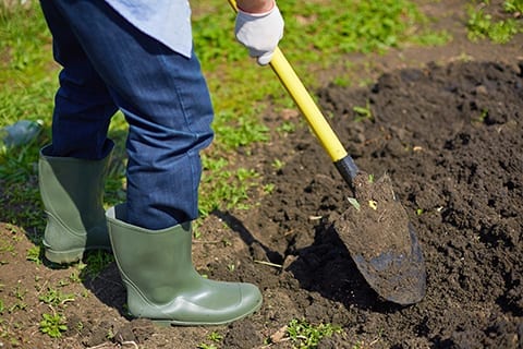 Drought Maintenance