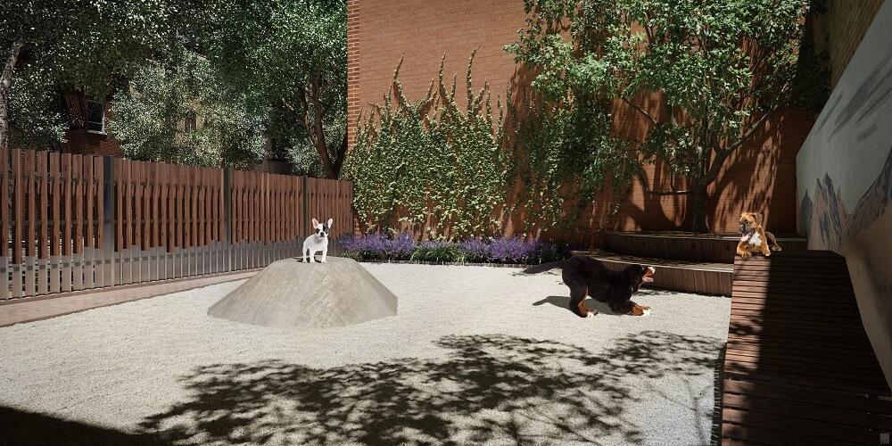 A fun pet park in new townhomes