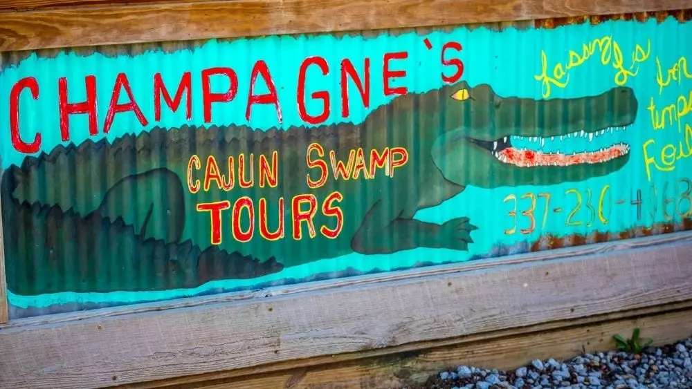 Swamp tours in Abbeville, Louisiana