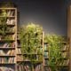 Lush plants drape over beautiful bookcases.