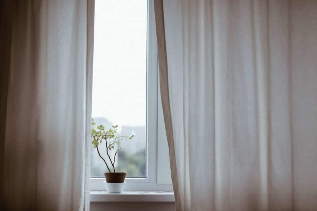 Plant on windo with curtains