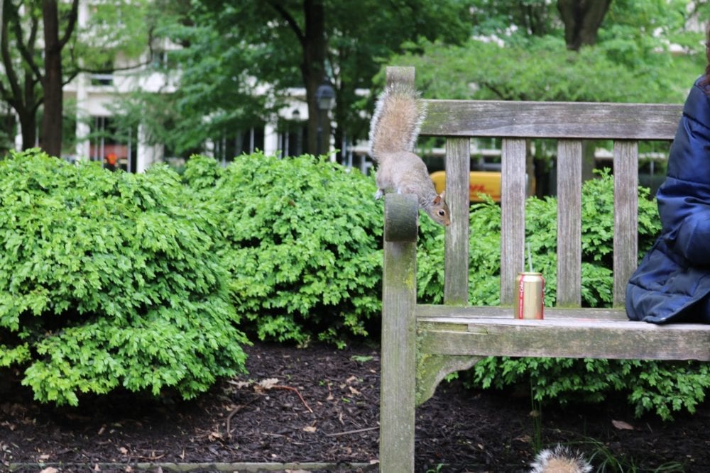 A landscaped yard with a bench and mulched flowerbed