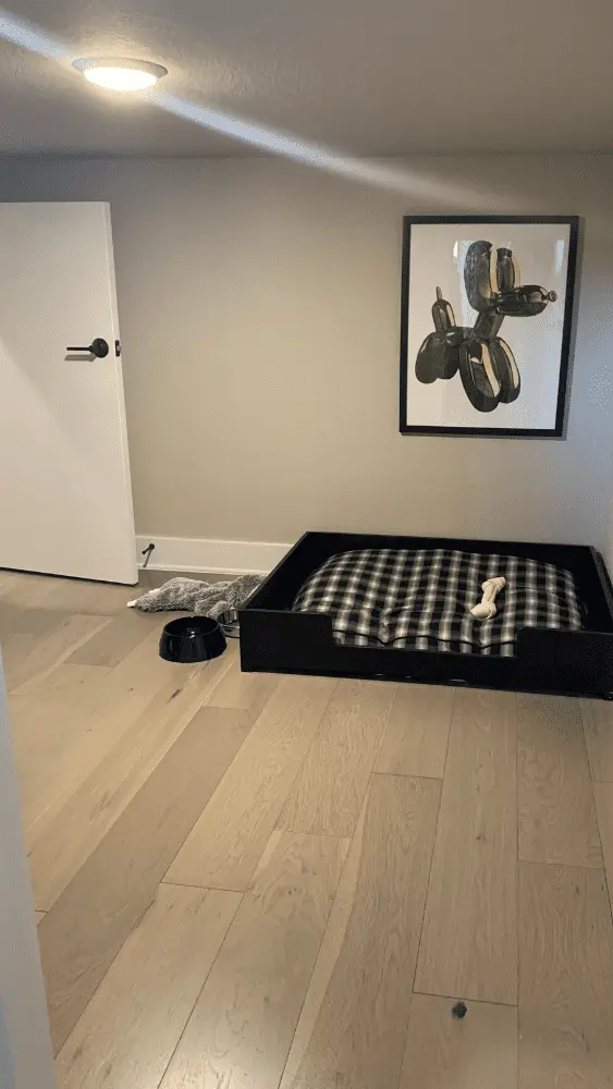 A dog room under the stairs, featuring a dog bed, bone, food dishes, and a dog balloon animal print.