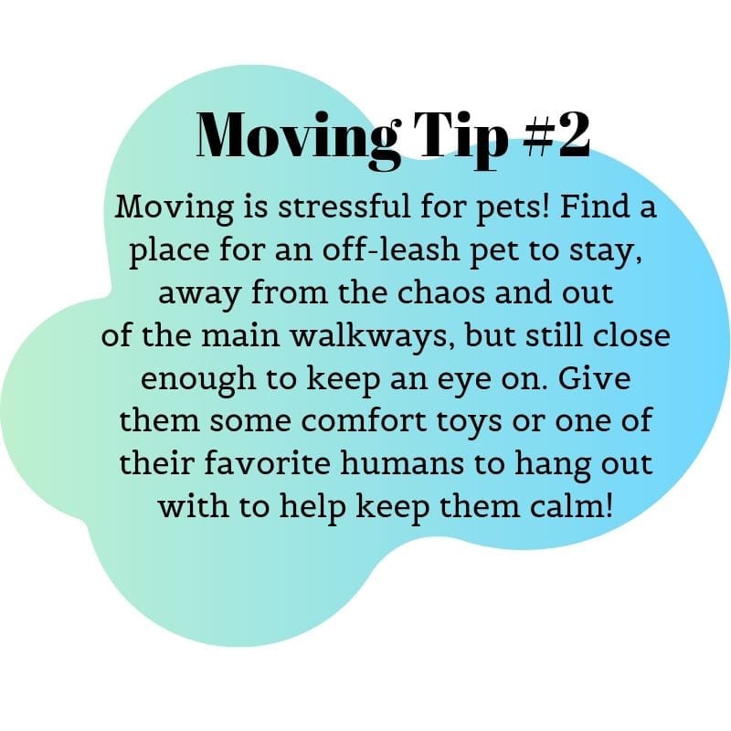 moving-tip-two
