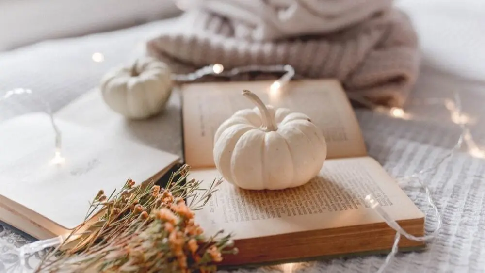 white-pumpkin-on-book