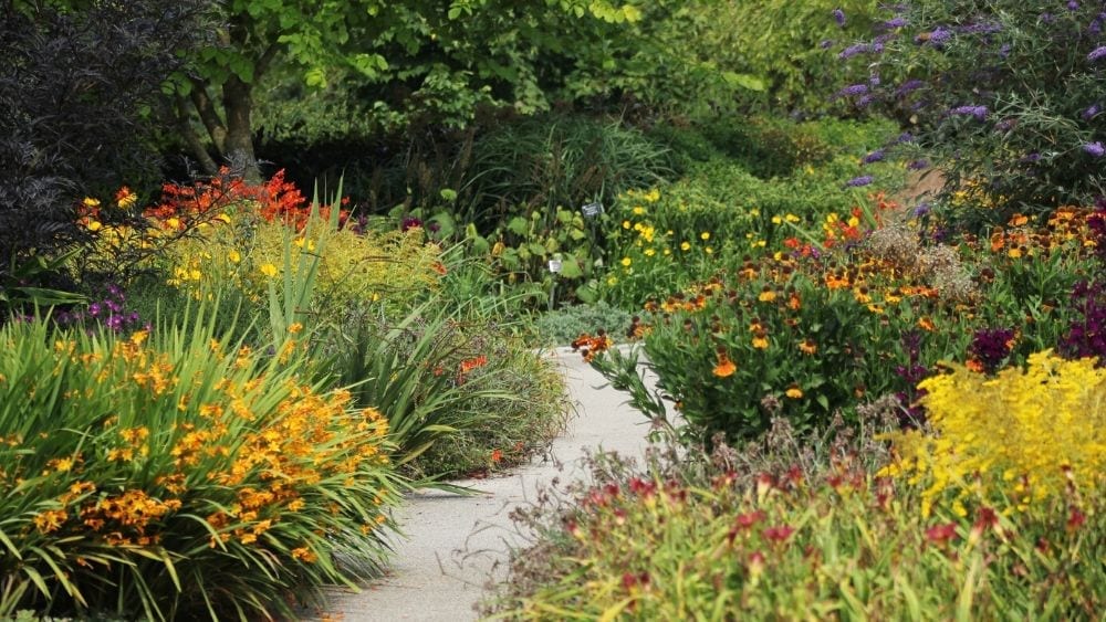 garden path with flowers