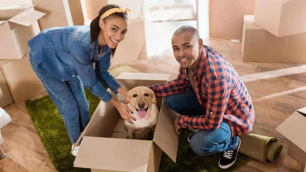 couple and dog with moving box