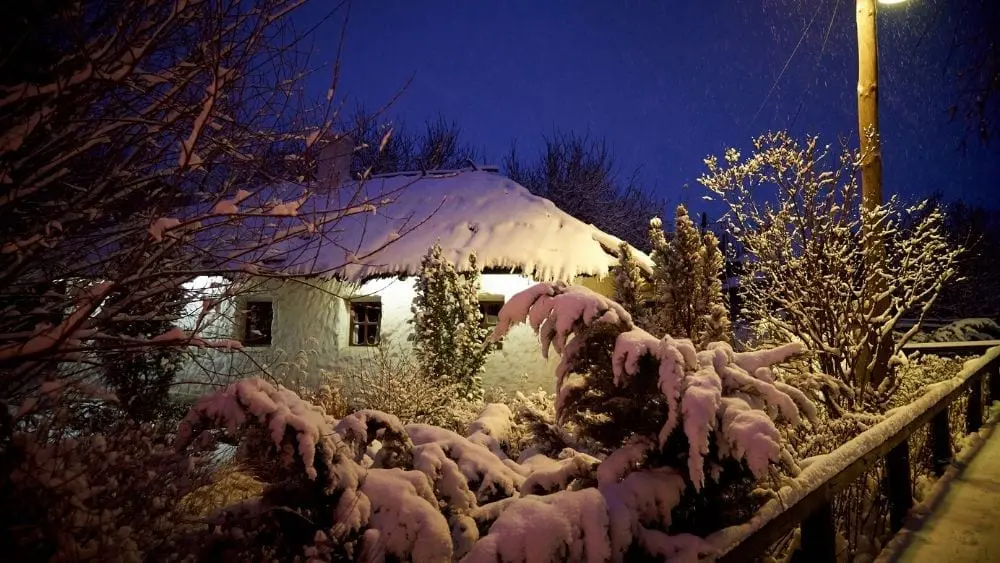 backyard or garden covered in snow