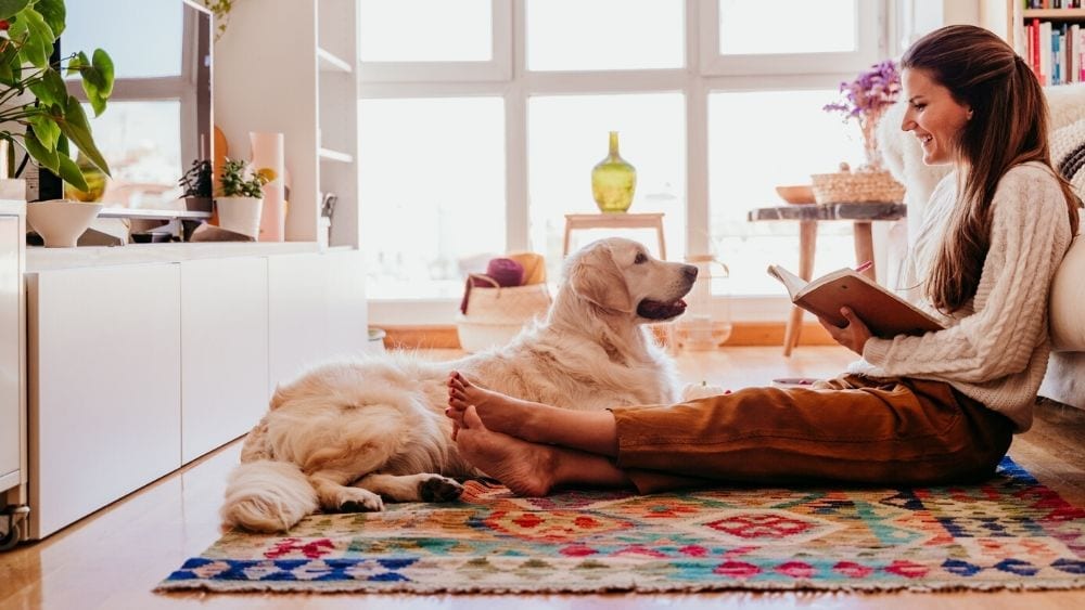 woman and dog in a healthy home
