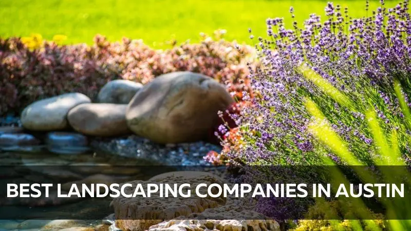 Best landscaping companies in austin