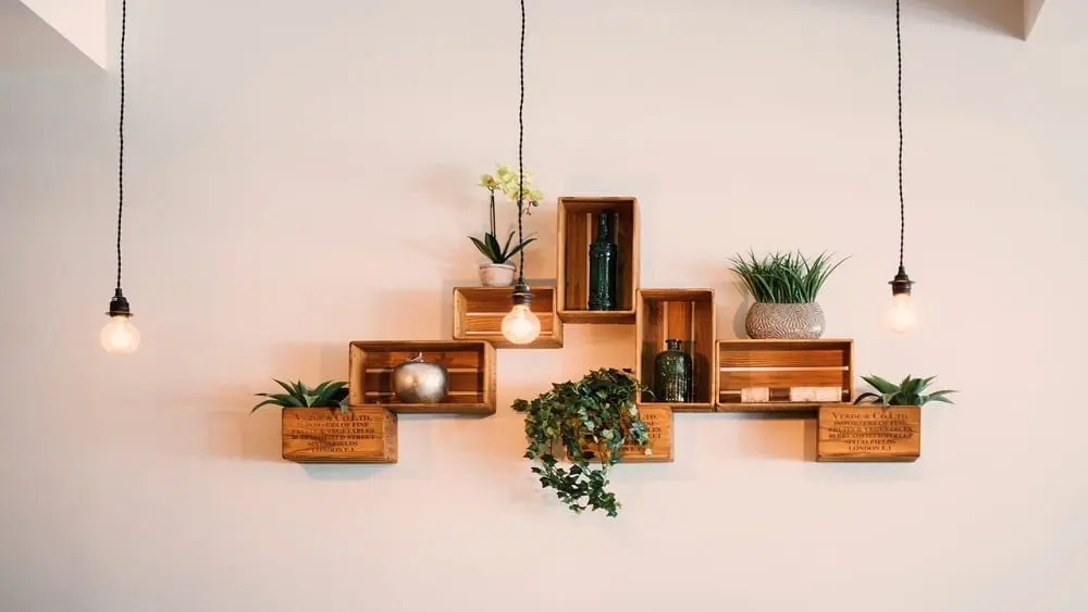 Hanging lights and crates mounted on wall decorated with houseplants.