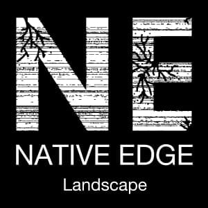 Native Edge Logo