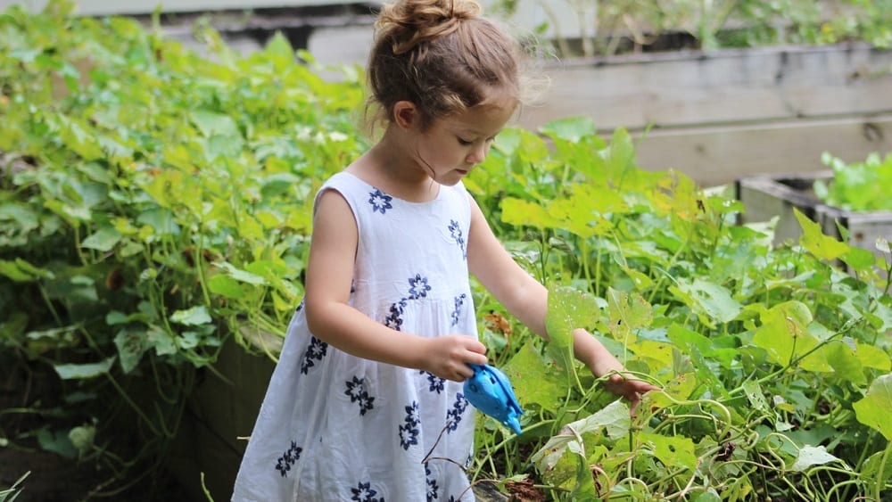Young girl looking at plants in a garden.