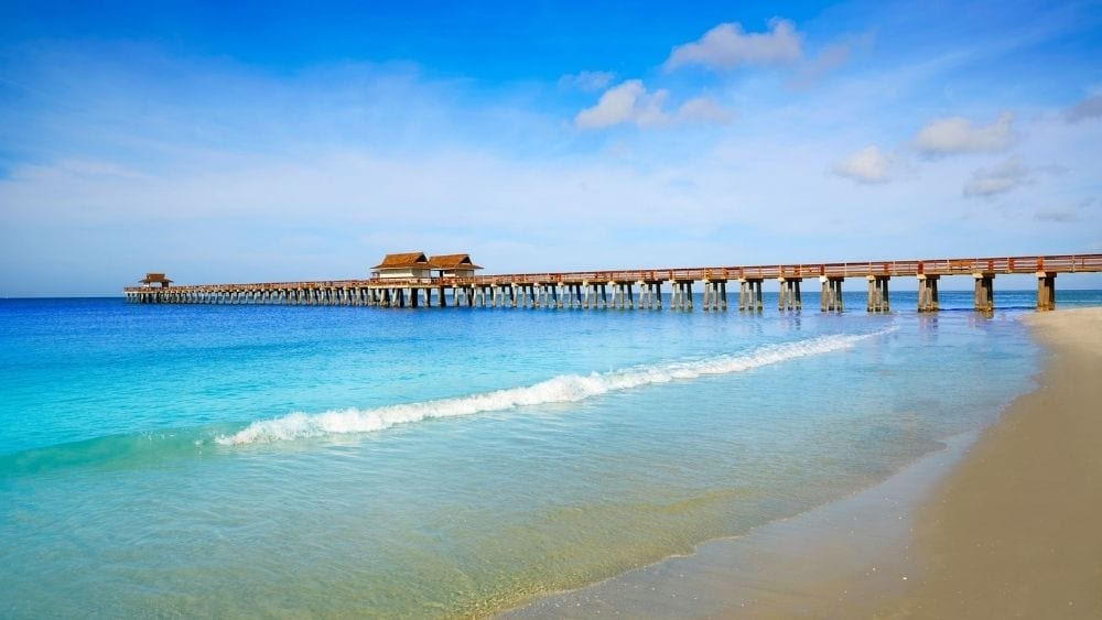 A dark wooden pier leading out over a blue, clear ocean.