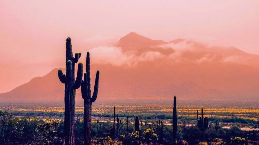 Two saguaro cacti stand in the foreground; in the distance, desert lands and mountains are covered in an orange haze.