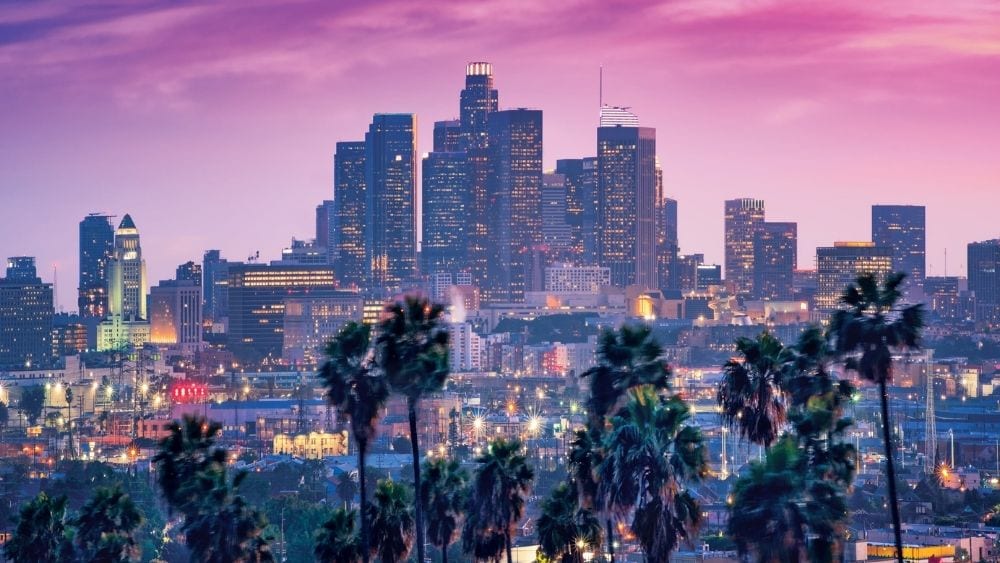 The Los Angeles skyline and palm trees at sunset.