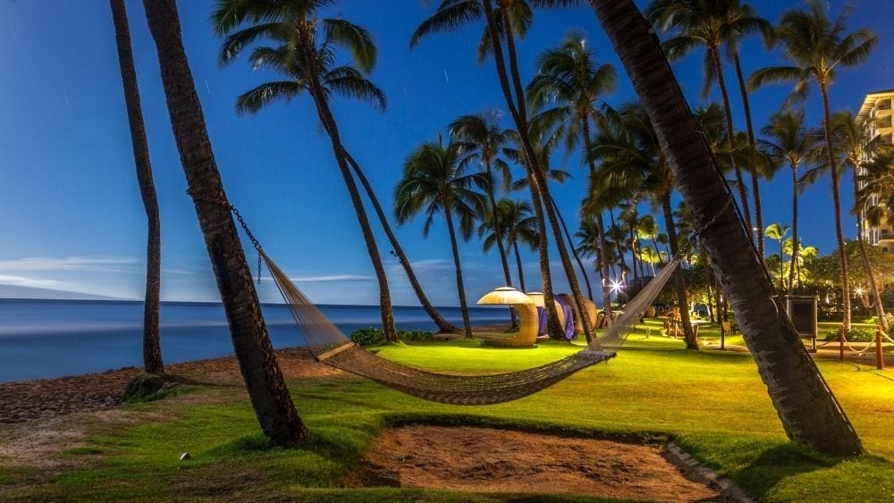 A hammock hangs between palm trees overlooking the ocean.