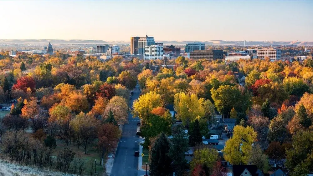 Orange and yellow tree tops leading up to the Boise skyline in the background.
