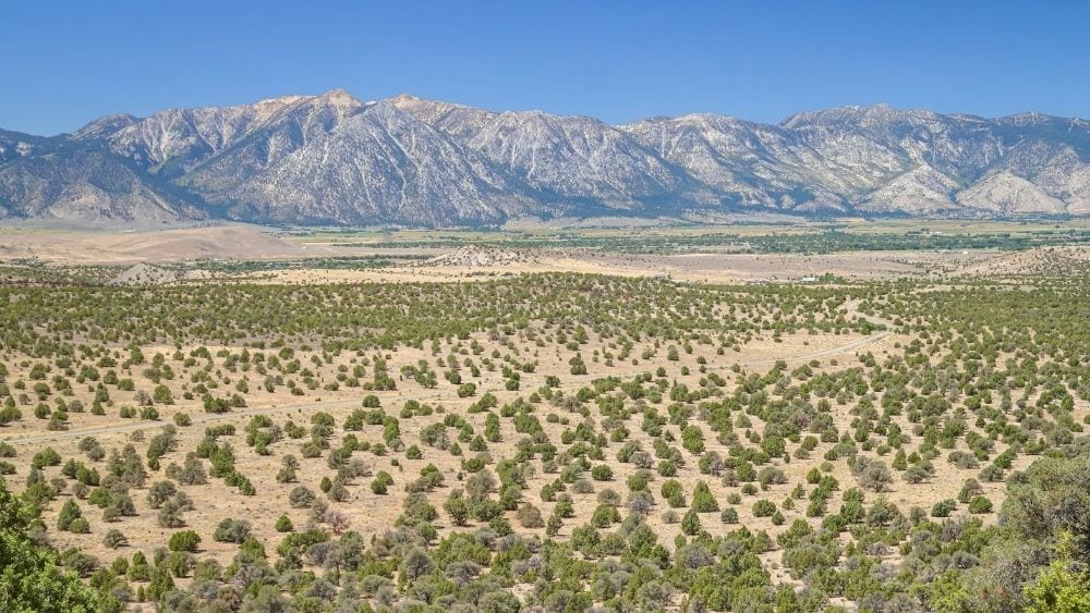 View of the valley where Gardnerville is, with the Sierra Nevada mountains in the background.