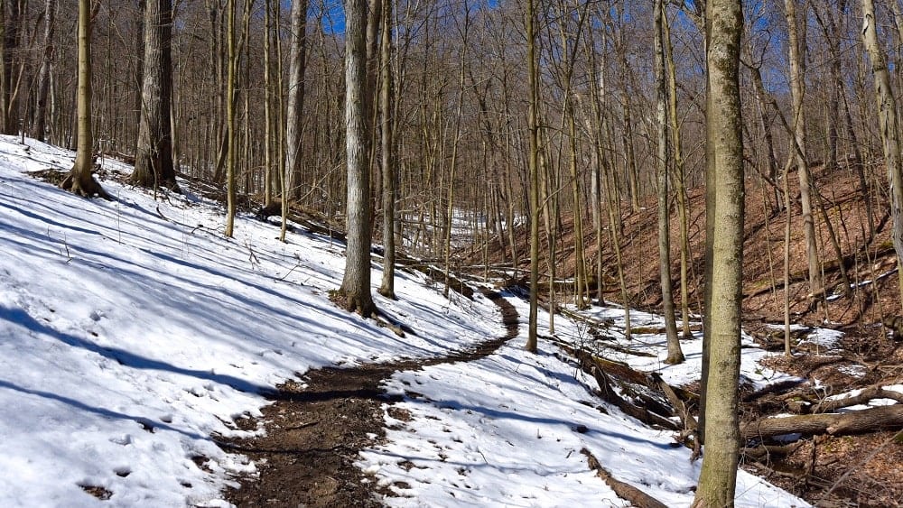 Snowy forest path in Murrysville, PA,