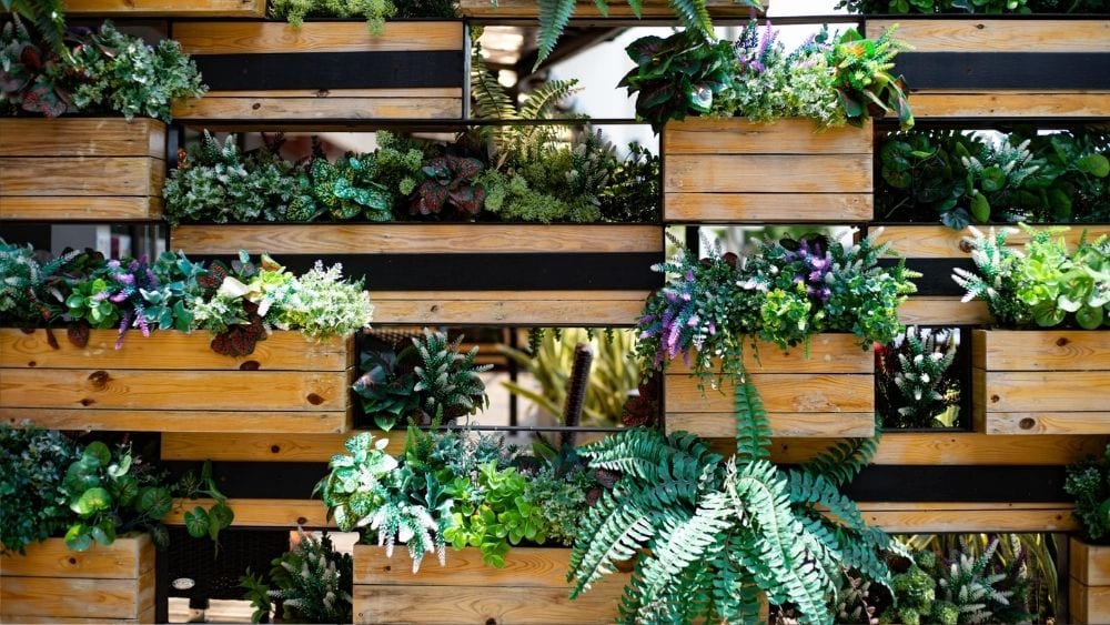 A wall of planters and plants.