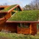 A custom wood home with multiple rooflines and multiple green roofs.