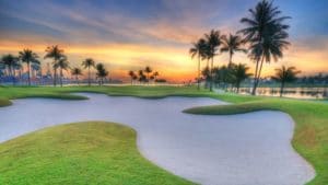 Image of an empty golf course at sunset with palm trees.