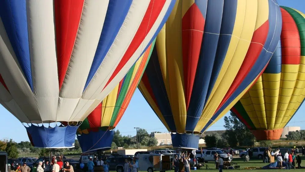Hot air balloons at a festival.