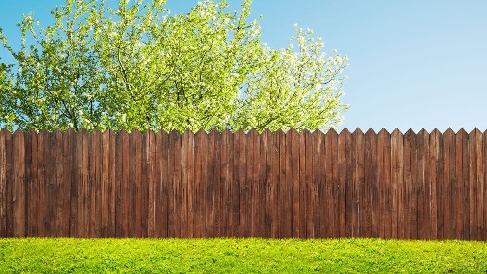 brown, wood fence