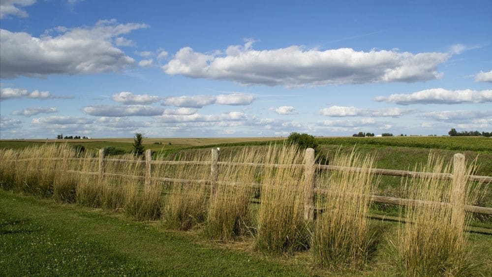 Open grassy fields in Newton, Iowa.