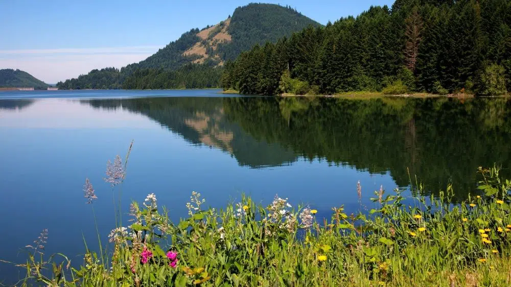 Dorena Reservoir, near Cottage Grove, Oregon.