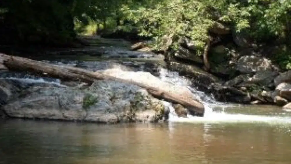 Creek at Gunpowder Falls State Park