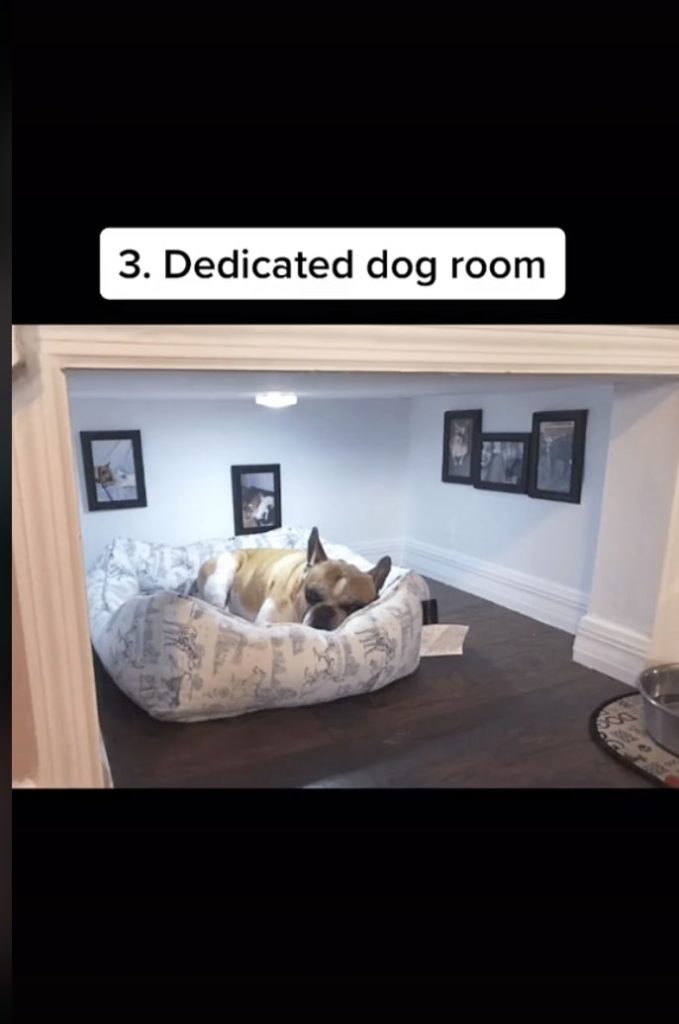 dedicated dog room