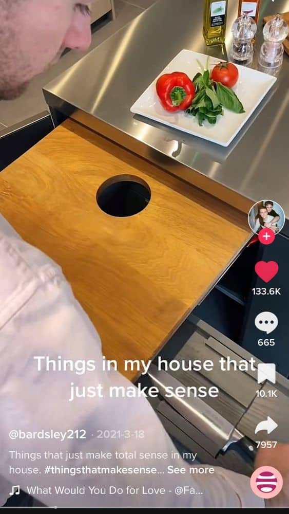 Screenshot of a TikTok video showing someone standing over a pull-out cutting board that has a side storage for knives. "Things in my house that just make sense" is written in white text on the image.