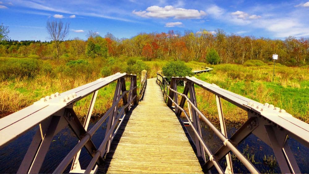 Perspective of someone standing on a wood bridge with metal railings that leads to a grassy field with a tree line in the distance.
