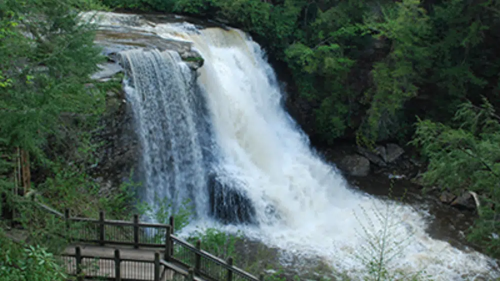 Waterfalls at Swallow Falls State Park