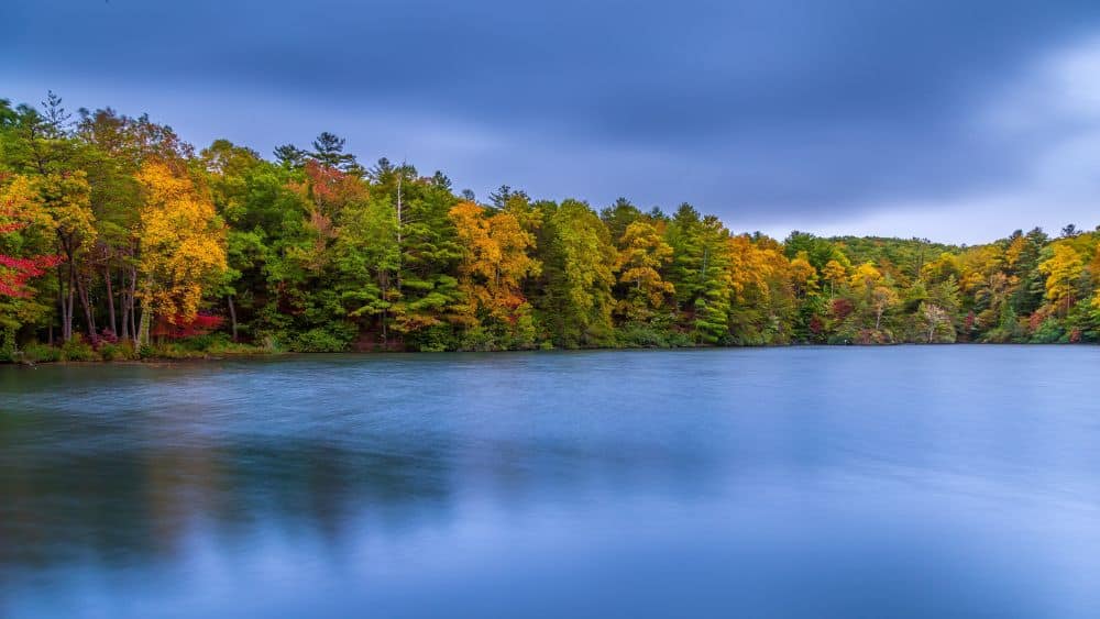 A large body of water leading up to green, orange, and red trees.