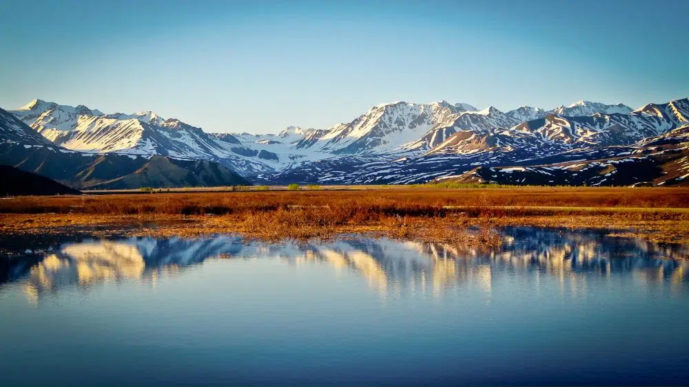 A snowy mountain range reflected in a clear body of water. Between the mountains and the water is a large field with dry grass,