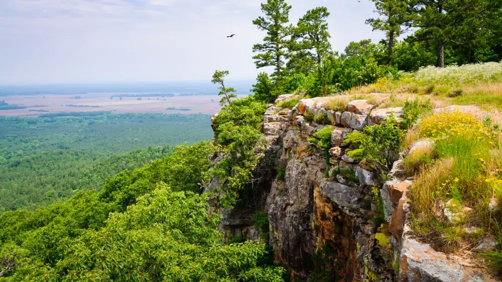 View from bluffs of Petit Jean State Park in Arkansas