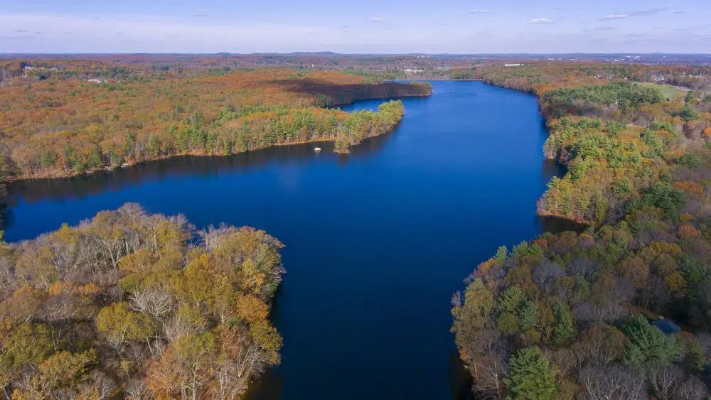 View from above of a large waterway channel that snakes through heavily forested areas.