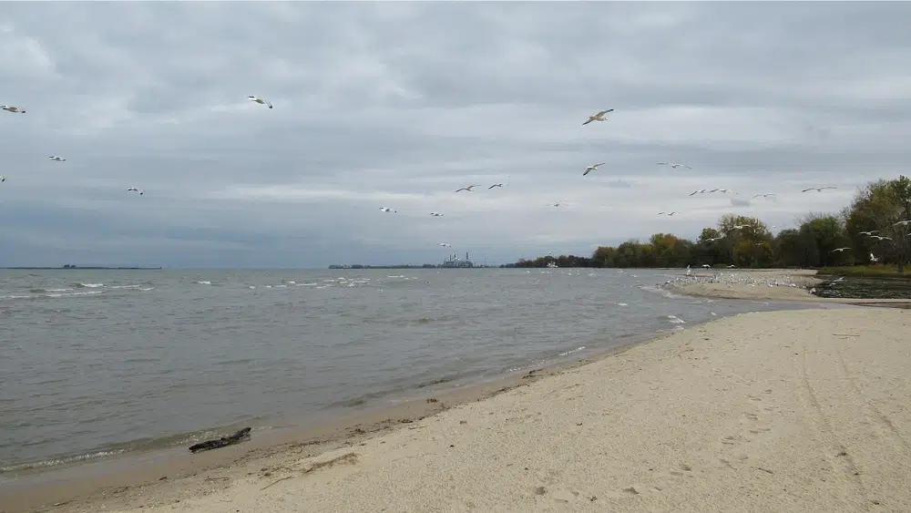 Beach view of Bay City State Park, Michigan.