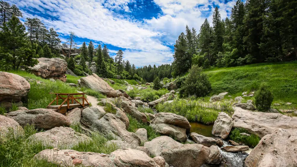 View of green trees, pasture, and a picnic table at Castlewood Canyon State Park, Colorado.