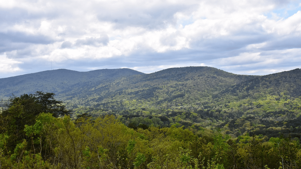 View of Cheaha Mountain from Skyway Mountaintop at Cheaha State Park, Alabama.