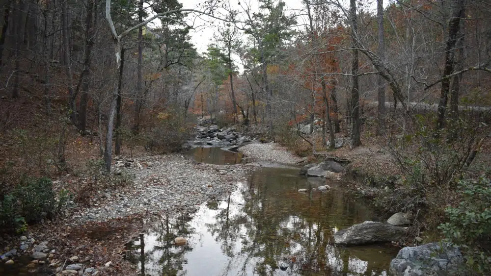 Cossatot River State Park, view of stream through wooded area in fall