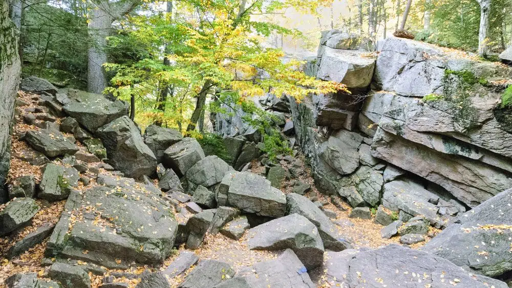 Piles of granite stone on a forest floor, covered in fallen leaves.