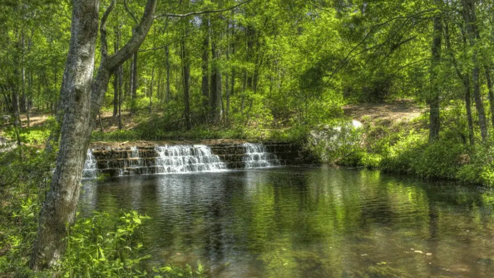Small waterfall in a stream at Sesquicentennial State Park, South Carolina.