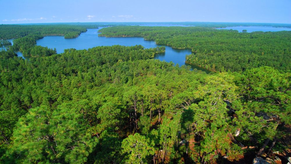 View from above of a wide river bordered by forests.