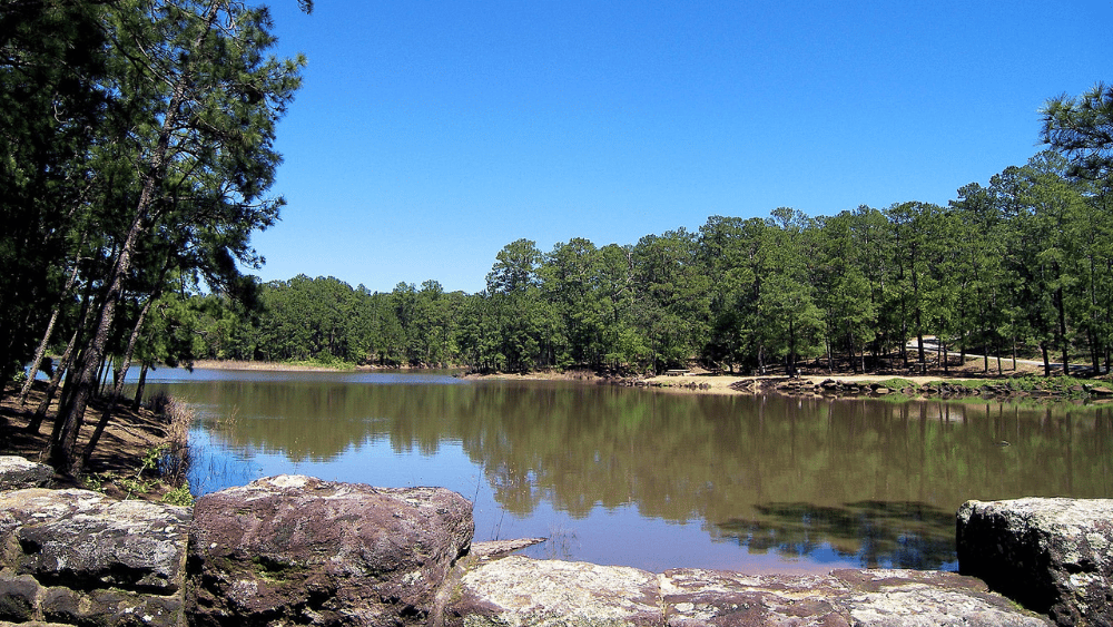 View of lake at Bastrop State Park, Texas.